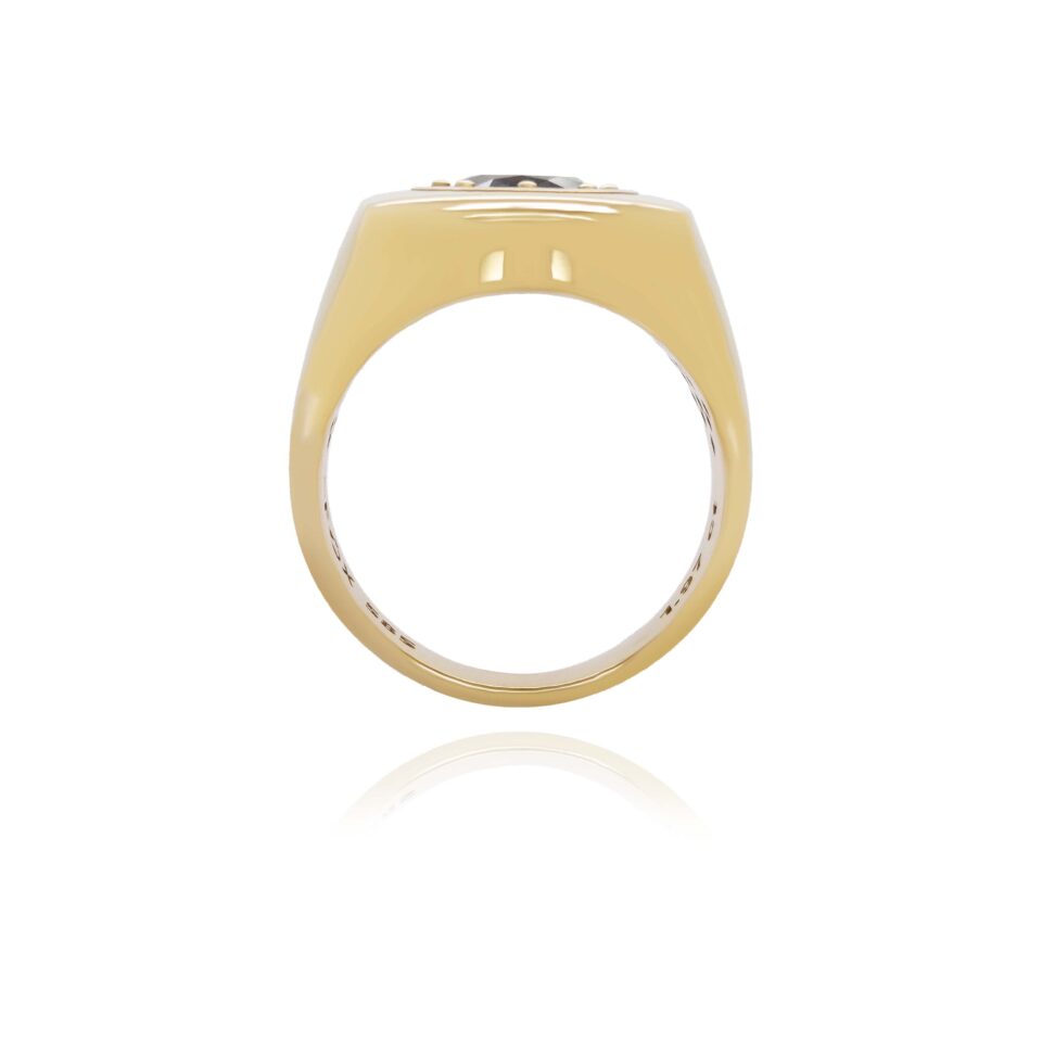 Zlaté šperky FOX® | pánský prsten s diamantem | Dům šperků Zlatá Roudná