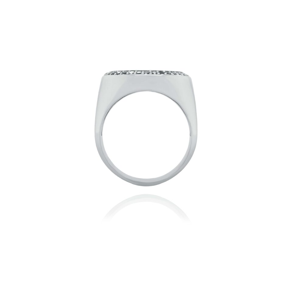 Zlaté šperky FOX® | zlatý prsten s kotvou | Dům šperků Zlatá Roudná